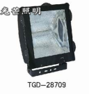 甘肅投光燈